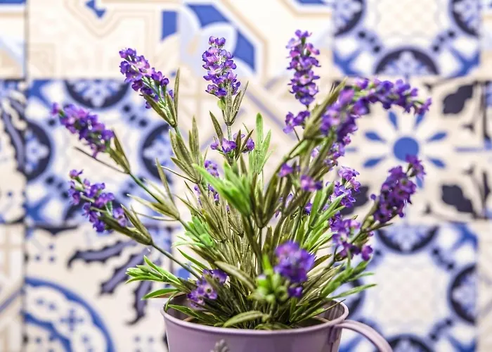 アパートホテル Carbona 105 ヘーヴィーズ