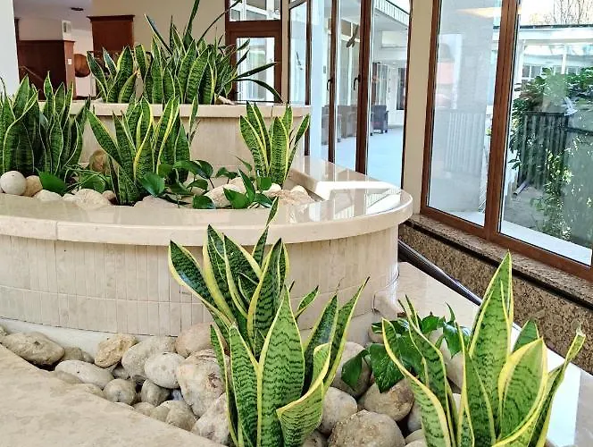 Carbona 105 アパートホテル 4*