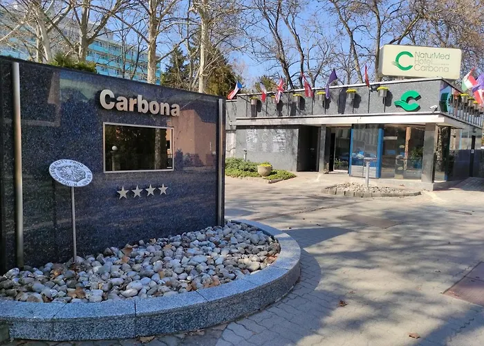 アパートホテル Carbona 105 ヘーヴィーズ